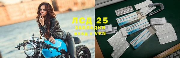 ПСИЛОЦИБИНОВЫЕ ГРИБЫ Алексеевка