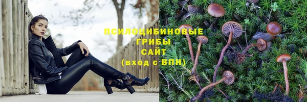 ПСИЛОЦИБИНОВЫЕ ГРИБЫ Алексеевка