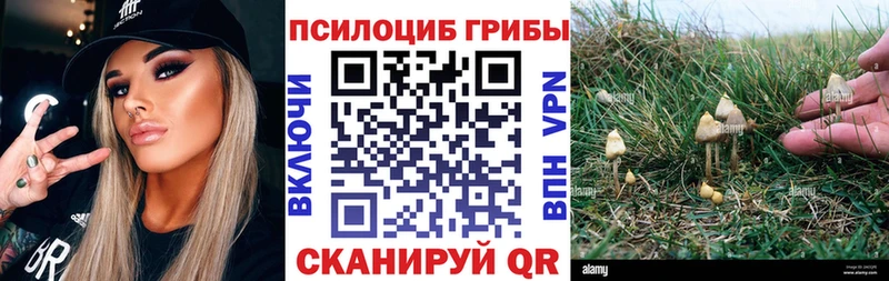 Купить где  Красково  Галлюциногенные грибы мухоморы 